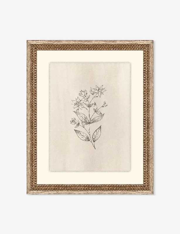 Shabby chic quilted wall hangings-Elegant Botanical VII Wall Art by Makai Howell