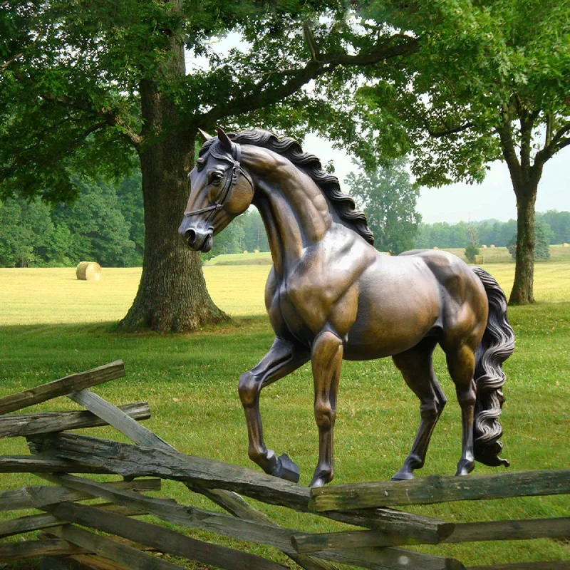 Tropical bird wall shelves-FINEST Outdoor Satues Bronze Horse Statue For Sale FB-032