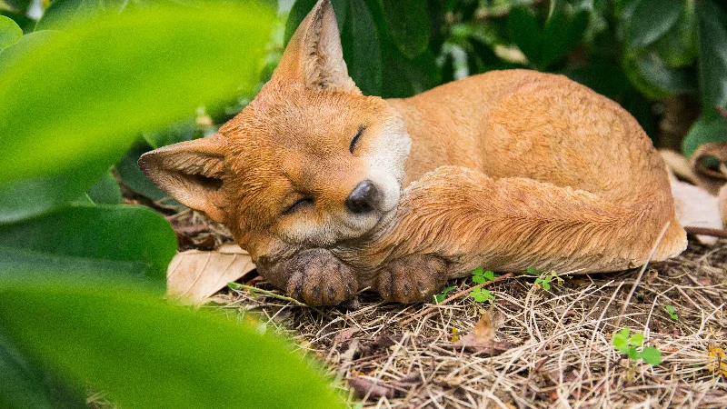 Scandinavian wool rugs-Fox Pup Sleeping Statue