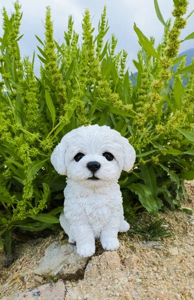 Nautical rope wall clocks-Pet Pals - Maltese Puppy White Statue