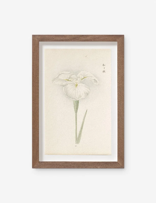 Vintage Japanese Iris No. 10 Wall Art by Miyoshi Manabu